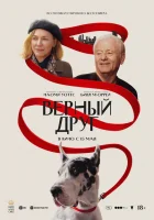 Верный друг смотреть онлайн (2024)