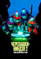  Черепашки-ниндзя 2: Тайна изумрудного зелья смотреть онлайн (1991) 