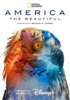 Прекрасная Америка смотреть онлайн тв шоу 1 сезон