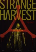  Странный урожай смотреть онлайн (2024) 