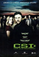  CSI: Место преступления Лас-Вегас смотреть онлайн сериал 1-15 сезон 