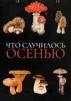  Что случилось осенью смотреть онлайн (2024) 