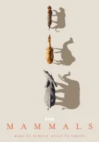  Млекопитающие смотреть онлайн сериал 1 сезон 